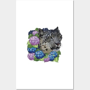 Snow Leopard Posters and Art